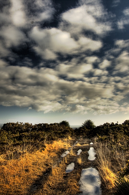 landes de lanfains 4_04_10n01.jpg